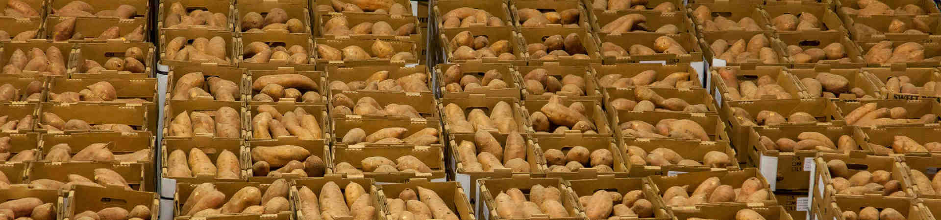 Non-Creamy Immigration: The $10B+ Volume Play